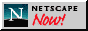 Netscape Logo